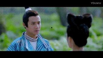 吃瓜探长阿港风,揭秘娱乐圈背后的秘密与真相