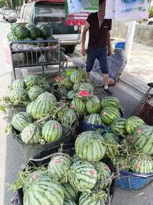 沂南大丰吃瓜事件,一场引发热议的乡村美食风波