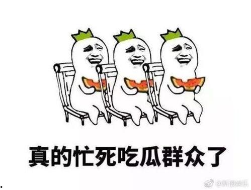 吃瓜太嗨,揭秘娱乐圈幕后真相