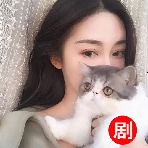 《白猫》少女吃瓜,揭秘校园风云背后的秘密