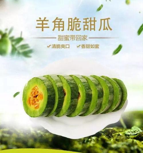 夏吃萝卜冬吃瓜,夏萝卜冬瓜，养生之道