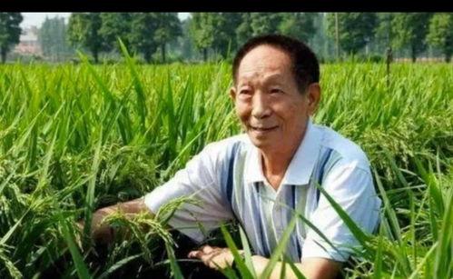吃瓜群众袁隆平钱学森,两位科学巨匠的传奇人生与时代贡献”
