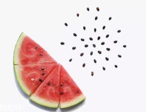 男子吃瓜吃绿了自己,男子误食绿瓜变身绿色传奇